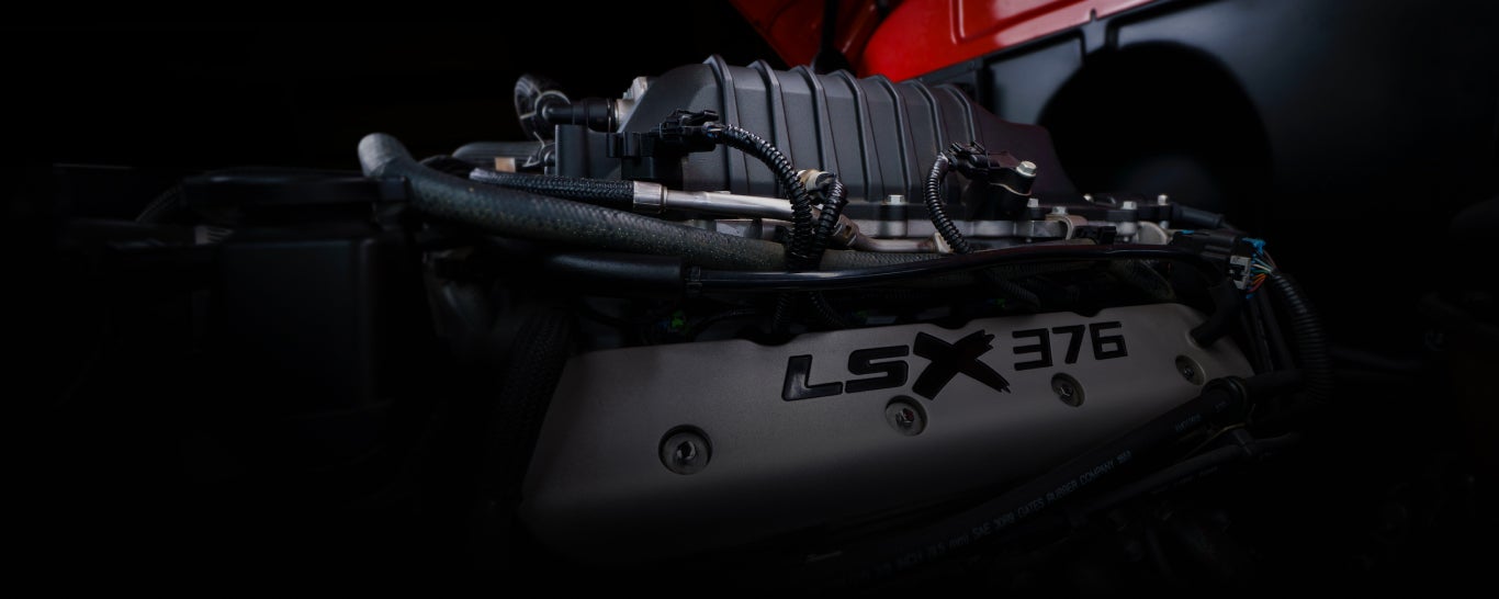 Elizabeth Chevrolet in Truman MN